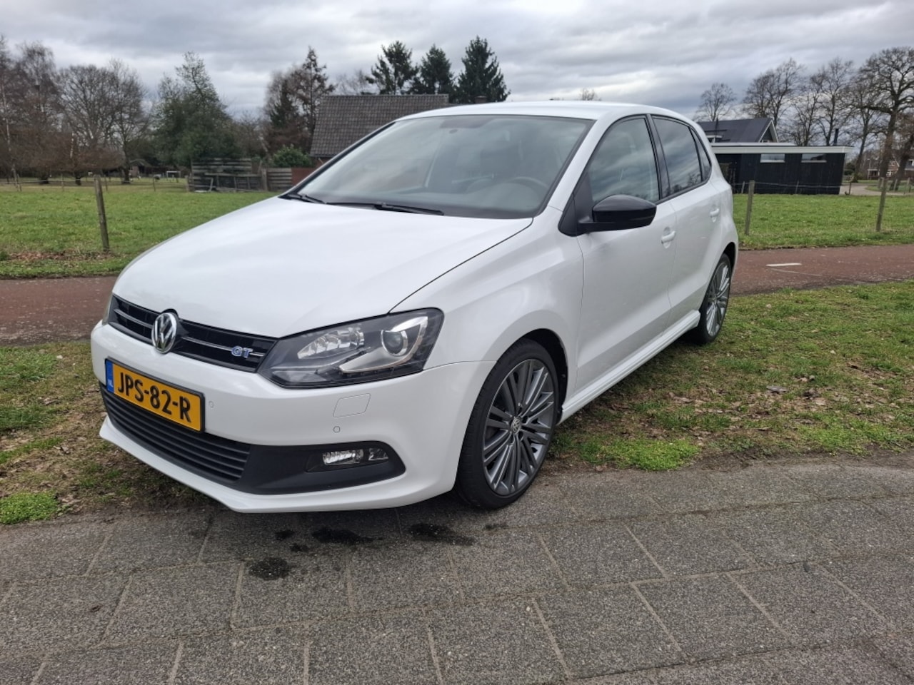 Volkswagen Polo - 1.4 TSI BlueGT 1.4 TSI BlueGT - AutoWereld.nl