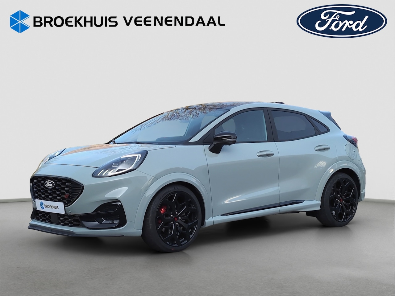 Ford Puma - ST 170PK | Performance Pack | Kuipstoelen | Pano | Camera | B&O | Adap. cruise control | A - AutoWereld.nl