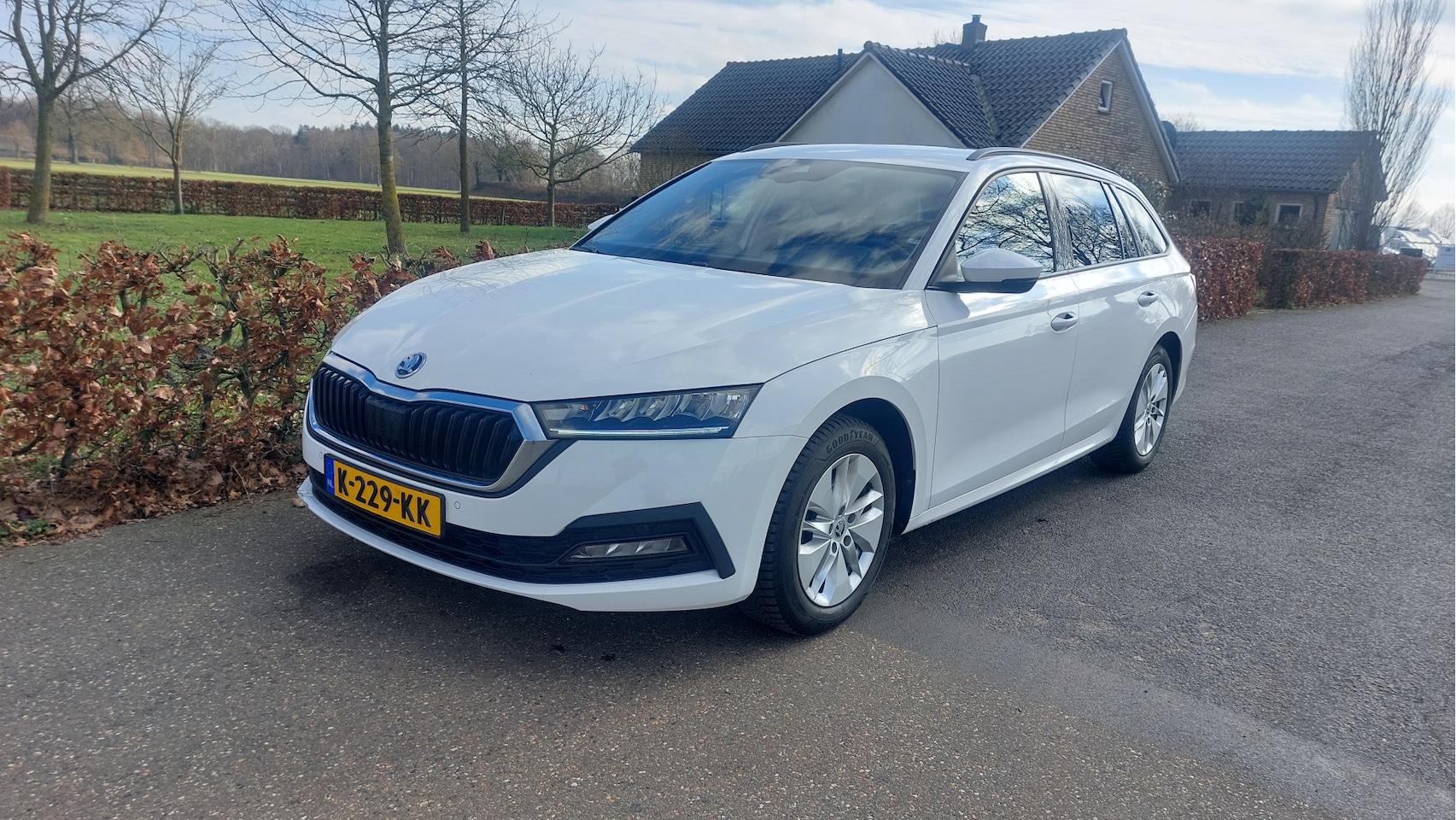 Skoda Octavia Combi - 1.0 e-TSI Business Edition CLIMA/NAVI/AUTOMAAT BJ 2021 - AutoWereld.nl