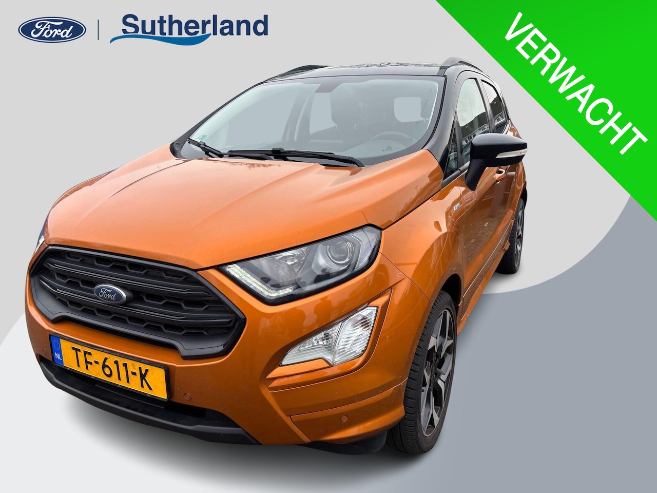 Ford EcoSport - 1.0 EcoBoost ST-Line 125pk Trekhaak | Achteruitrijcamera |  Winterpack | 18 inch velgen | - AutoWereld.nl