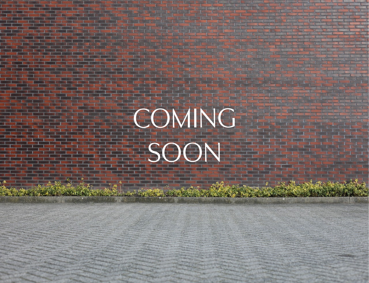 Volvo XC90 - T8 AWD Ultra Black Edition | Executive - Trekhaak - AutoWereld.nl