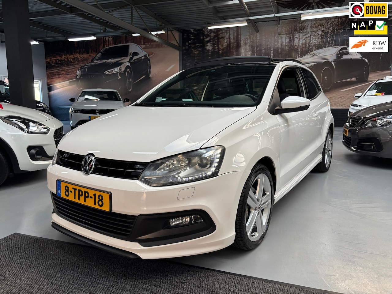 Volkswagen Polo - 1.2 TSI R-Line Edition / Panorama Dak - AutoWereld.nl
