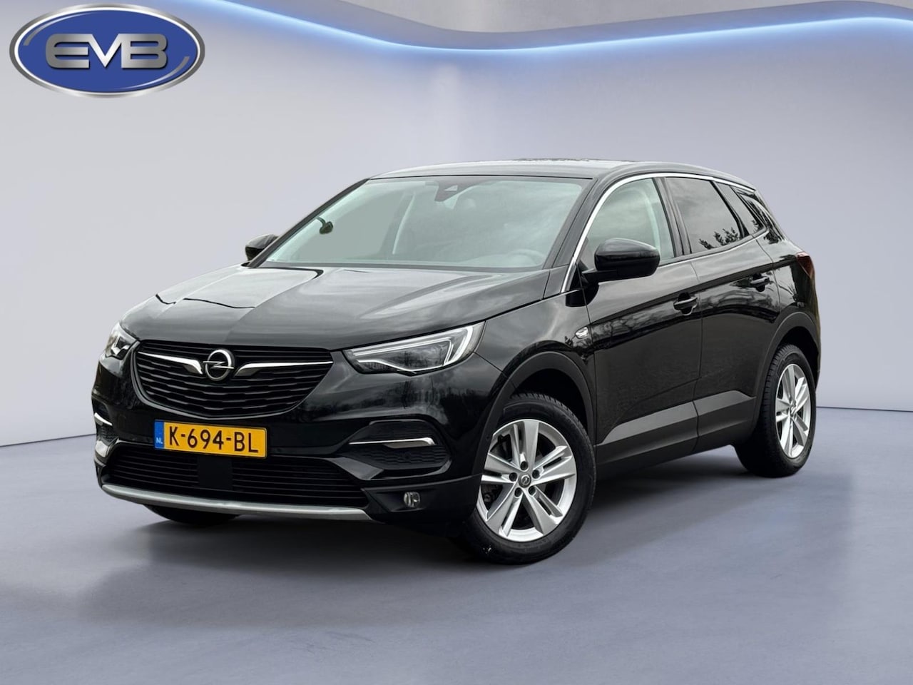 Opel Grandland X - 1.2 Turbo Business Executive 1.2 Turbo Business Executive, achteruitrijcamera,trekhaak, 1/2 lederen sportinterieur, 1 e - AutoWereld.nl
