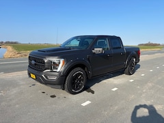 Ford F150 - F150 3.5 eco Boost Lpg PLATINUM Marge Btw/Bpm vrij Financiering v/a 350 p/m