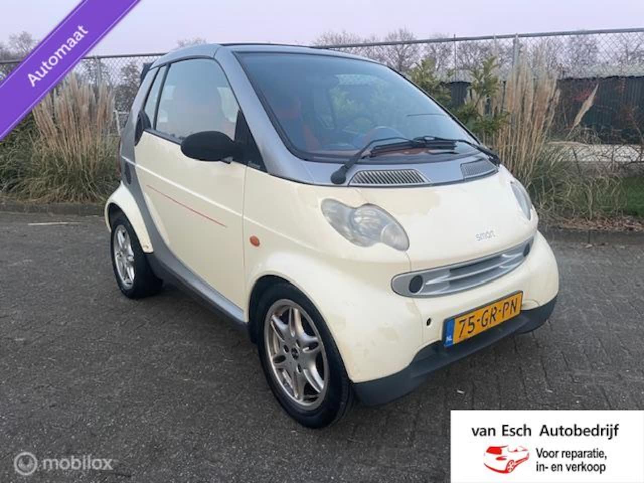 Smart Cabrio - cabrio & passion - AutoWereld.nl