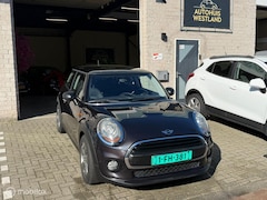 MINI One - 1.2 Pepper Business