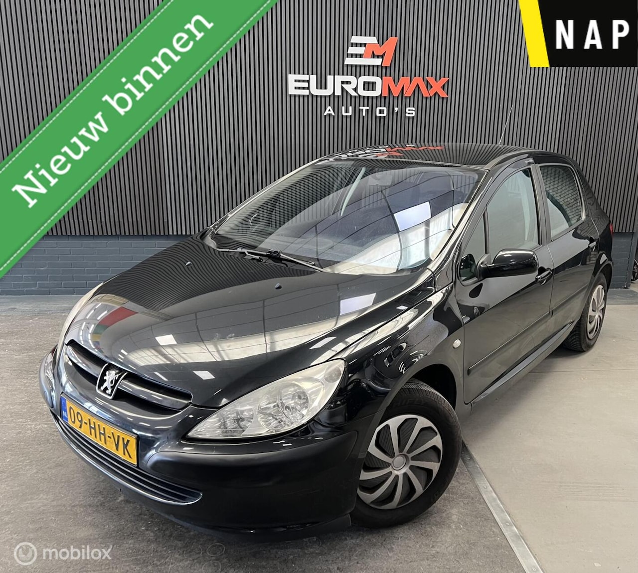Peugeot 307 - 1.6-16V Gentry | NAP | Airco | Elektr. Ramen - AutoWereld.nl