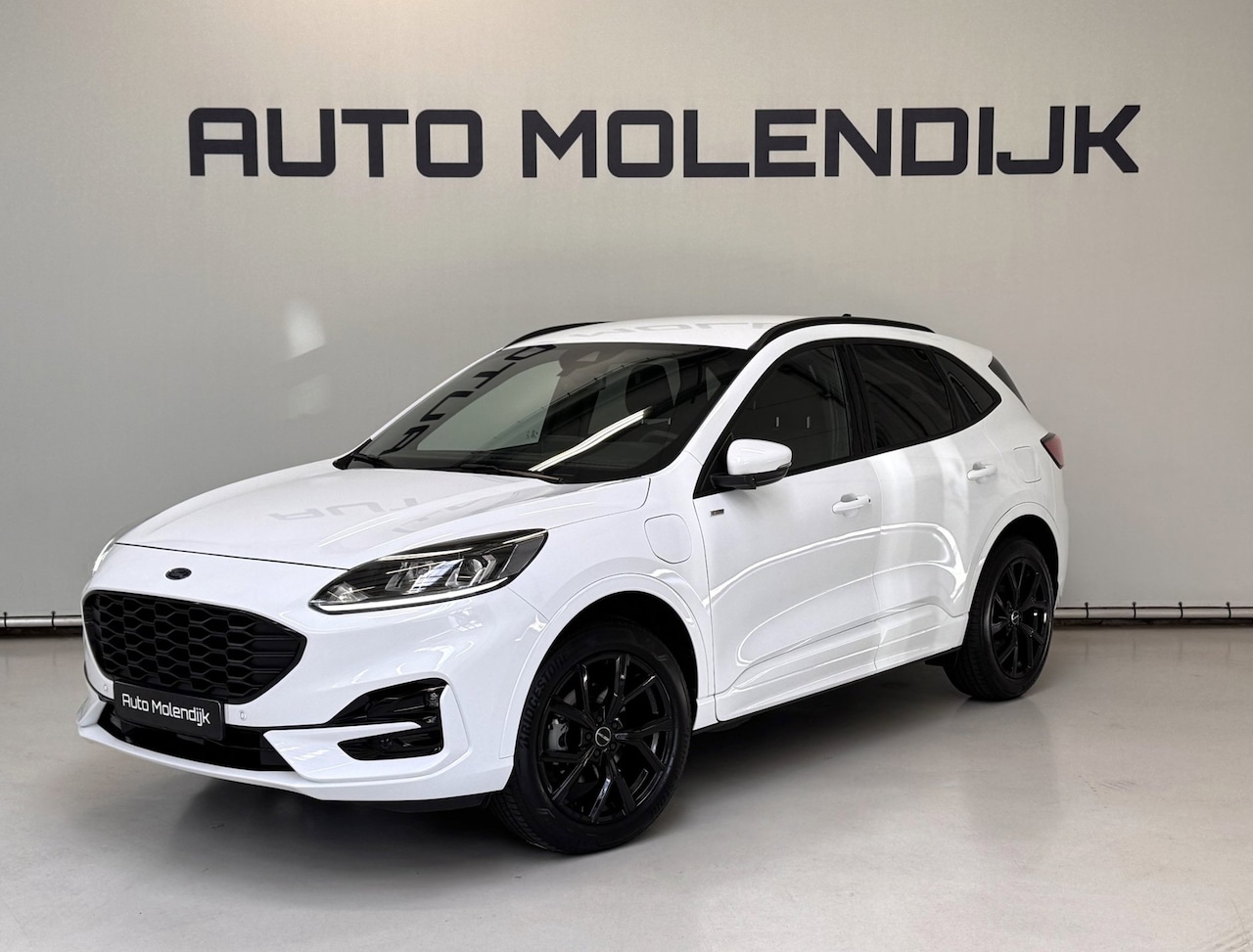 Ford Kuga - 2.5 PHEV ST-Line / Camera / el. klep / stuur stoelverw. / virtual - AutoWereld.nl