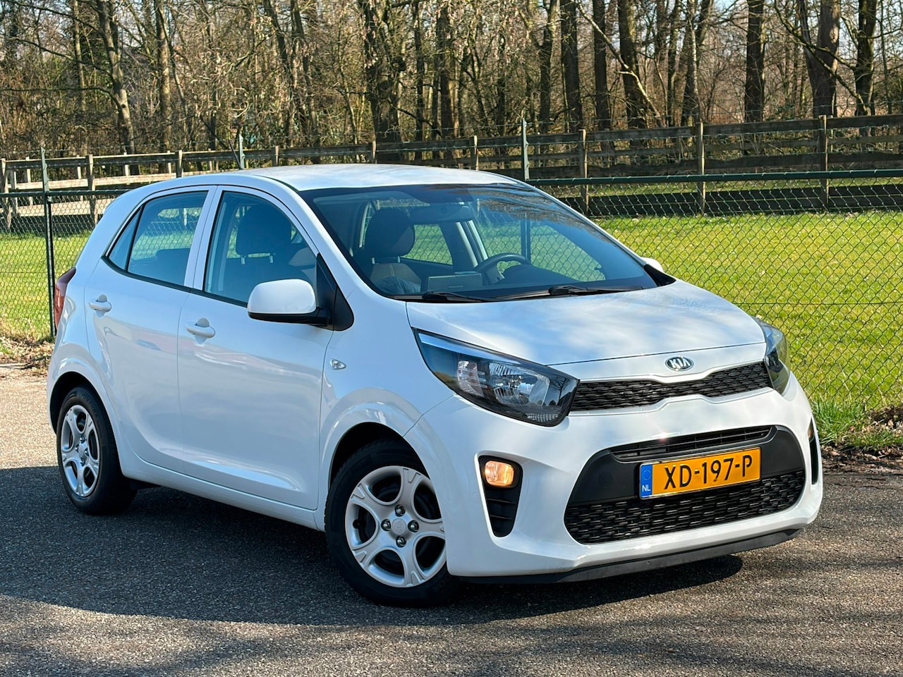 Kia Picanto - 1.0 CVVT EconomyPlusLine /Carplay/Navi/Airco/ - AutoWereld.nl