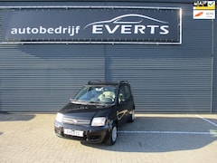 Fiat Panda - 1.2 Young 136685 Km Nap Nwe Distributie met Airco elektrisch pakket zeer nette goed rijden