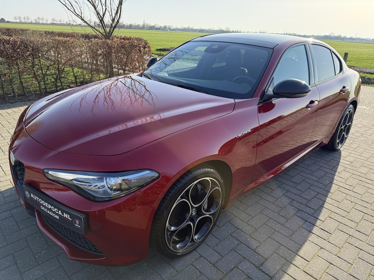 Alfa Romeo Giulia - 2.0 T Veloce AWD Rosso Competitione / Etna - Panorama dak! - AutoWereld.nl