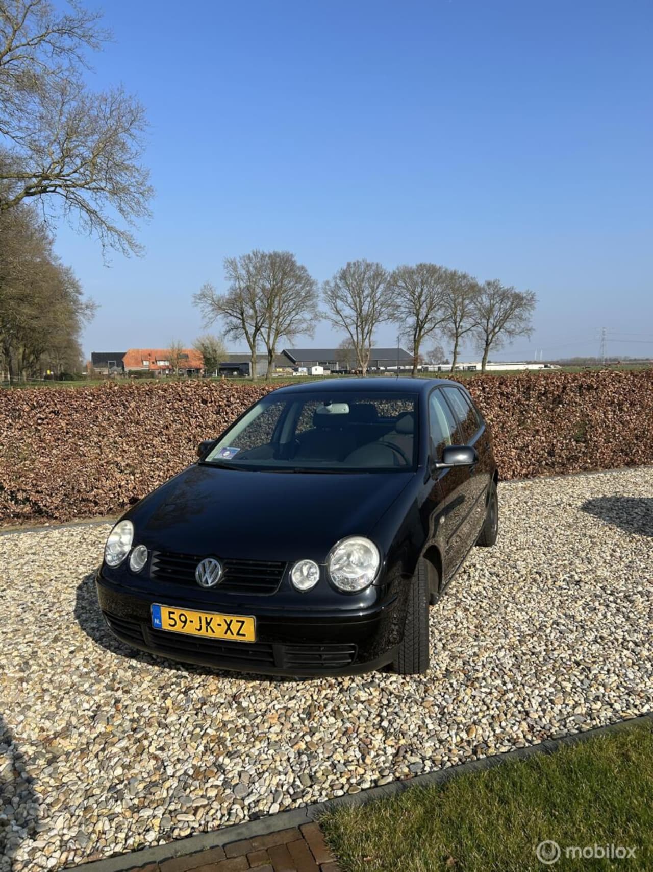 Volkswagen Polo - 1.4-16V Highline 1.4-16V Highline - AutoWereld.nl