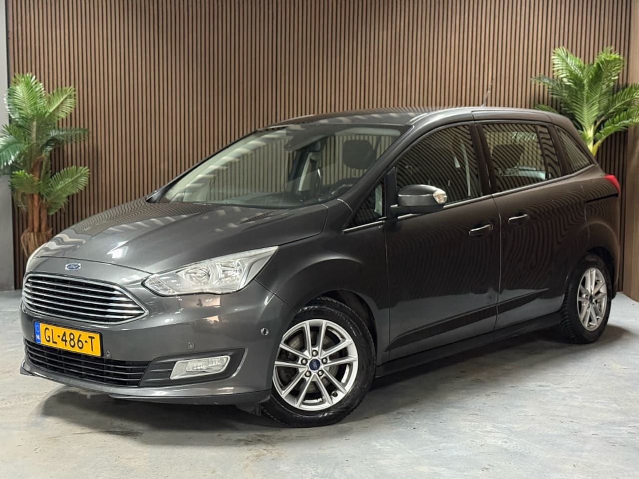 Ford Grand C-Max - 1.0 Trend 7persoon D.Riem vervangen - AutoWereld.nl