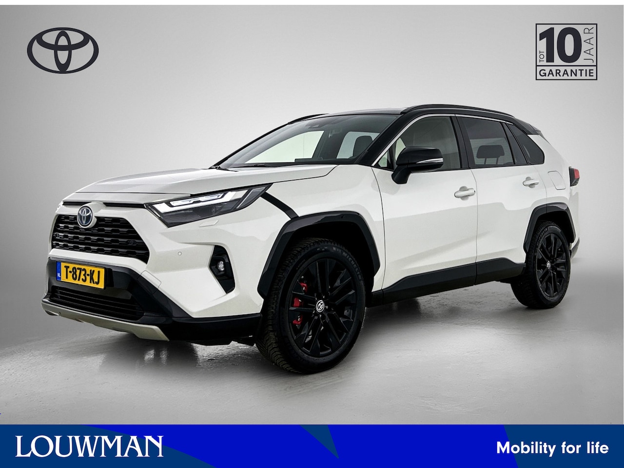Toyota RAV4 - 2.5 Hybrid AWD Style 2.5 Hybrid AWD Style - AutoWereld.nl
