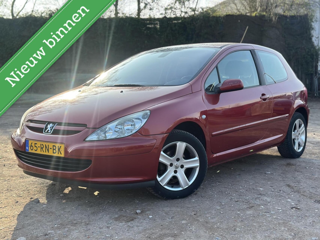 Peugeot 307 - 1.6-16V XSI AIRCO CRUISE SPORTSTOEL HALF LEDER - AutoWereld.nl