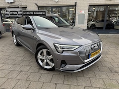 Audi e-tron - e-tron 50 q L Ed Panoramadak Leer NAP