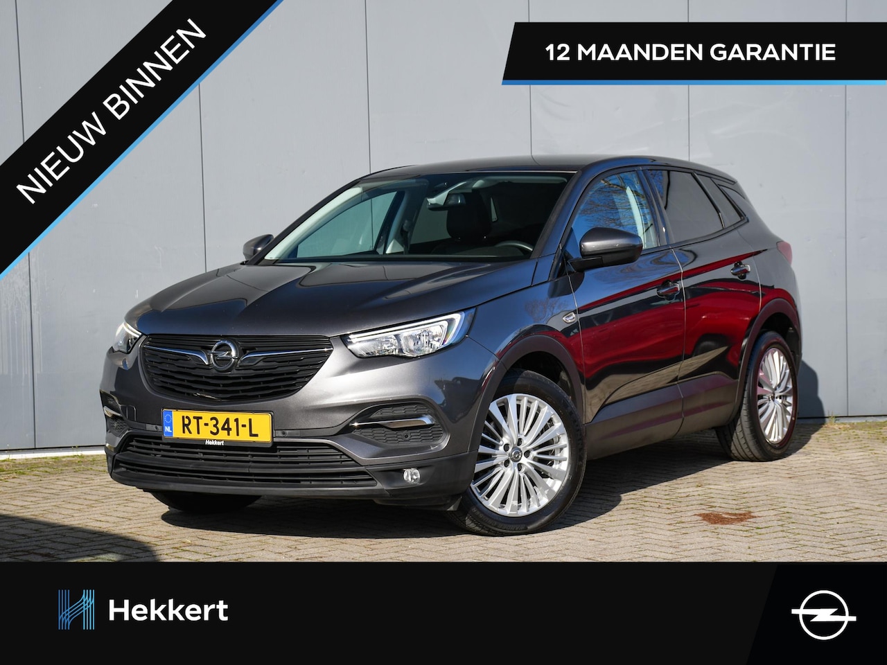 Opel Grandland X - Online Edition 1.2 Turbo 130pk PDC | 18''LM | APPLE-CARPLAY | NAVI | CRUISE.C | DAB - AutoWereld.nl