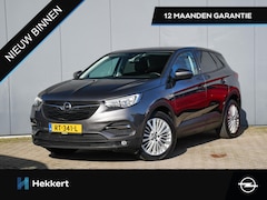 Opel Grandland X - Online Edition 1.2 Turbo 130pk PDC | 18''LM | APPLE-CARPLAY | NAVI | CRUISE.C | DAB