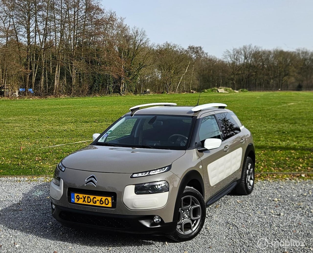 Citroën C4 Cactus - Automaat – Hoge instap – Navi – Camera – Nette auto - AutoWereld.nl