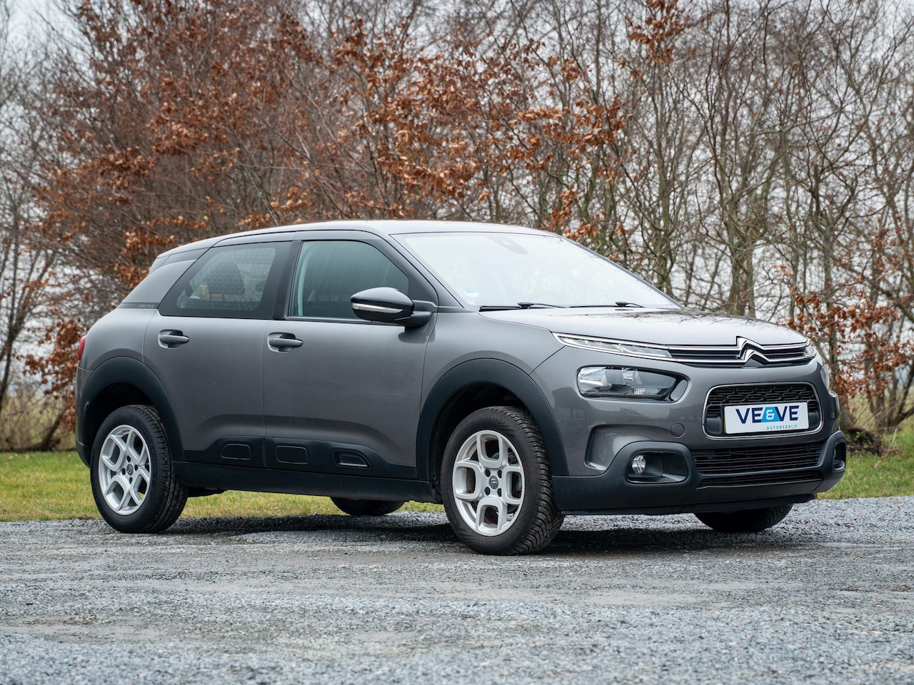 Citroën C4 Cactus - 1.2 PureTech Business 1.2 PureTech Business - AutoWereld.nl