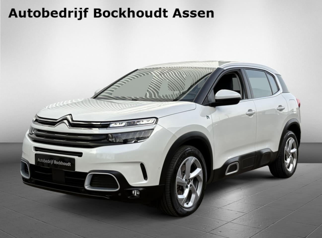 Citroën C5 Aircross - 1.6 Plug-in Hybrid 225 Business | Camera | Navigatie | Cruise Co - AutoWereld.nl