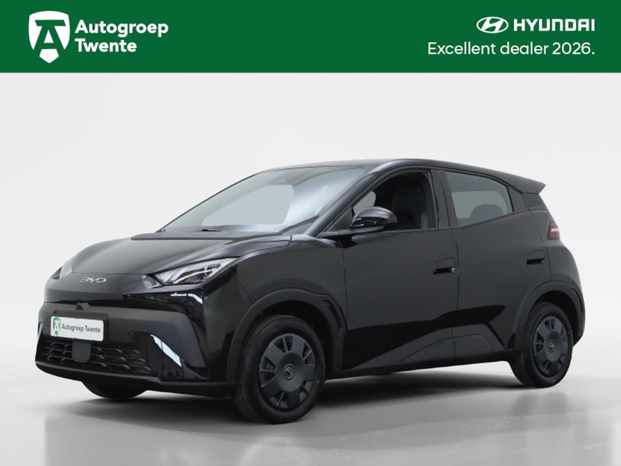 BYD Dolphin Surf - Active 30 kWh | Navigatie | Inclusief € 2.000 ACTIE - AutoWereld.nl