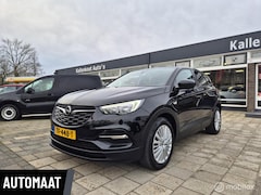 Opel Grandland X - 1.2 Turbo Online Edition, D-Riem vervangen