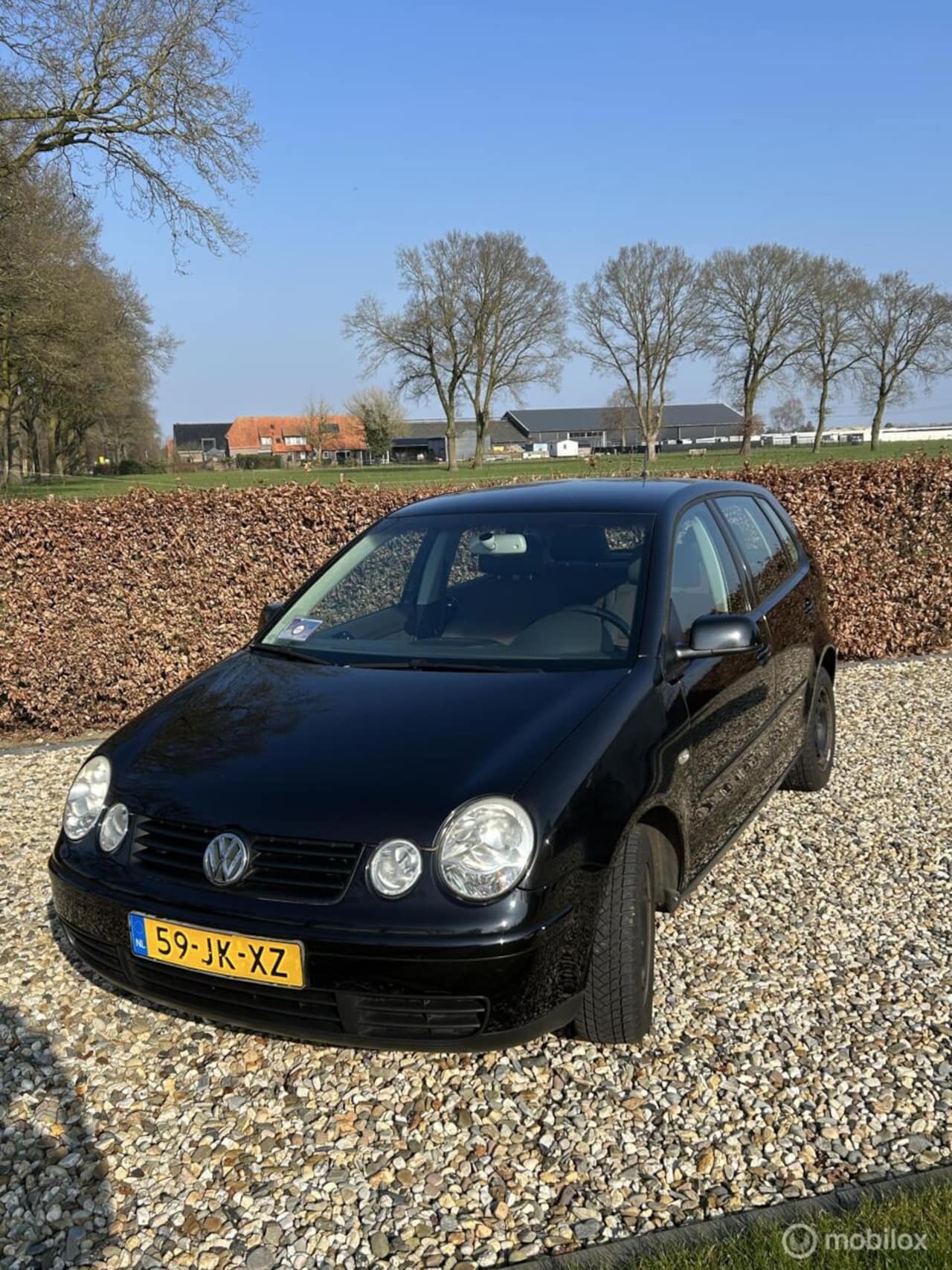 Volkswagen Polo - 1.4-16V Highline 1.4-16V Highline - AutoWereld.nl