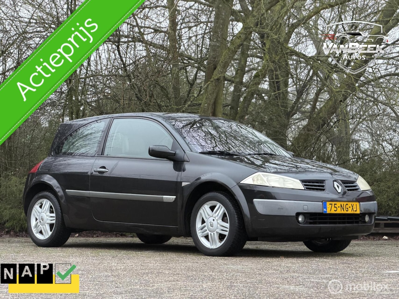 Renault Mégane - 1.4-16V Expression Comfort Nwe APK - AutoWereld.nl