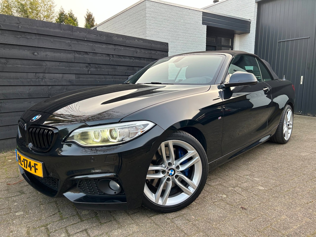 BMW 2-serie Cabrio - 220i High Executive 220i High Executive, M-sport, Leder, Org. NL - AutoWereld.nl