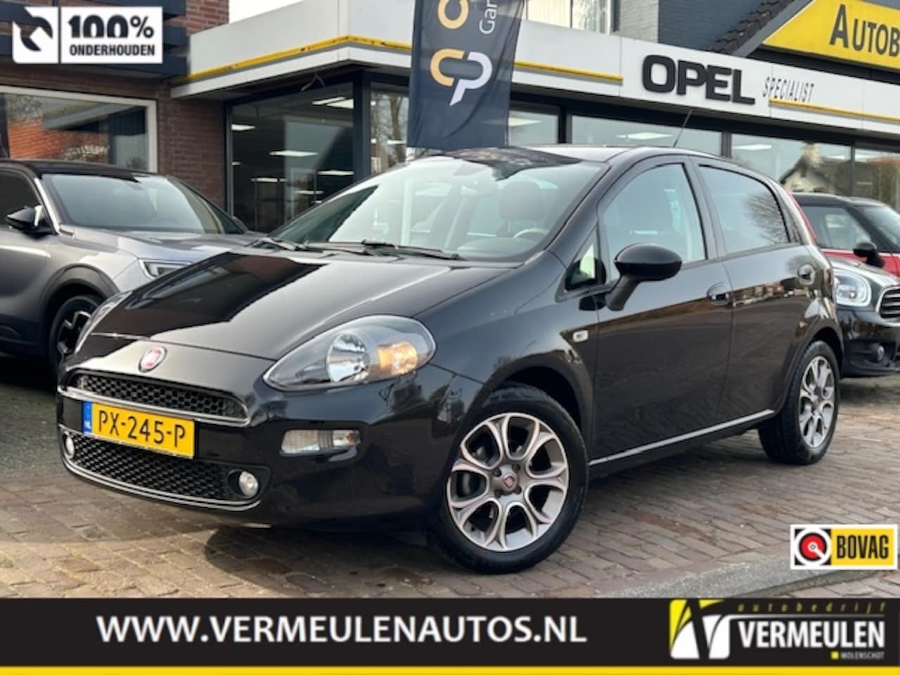 Fiat Punto - 0.9 TwinAir Turbo 100PK Lounge + 16"/ Navi/ Clima/ Cruise/ NL auto - AutoWereld.nl