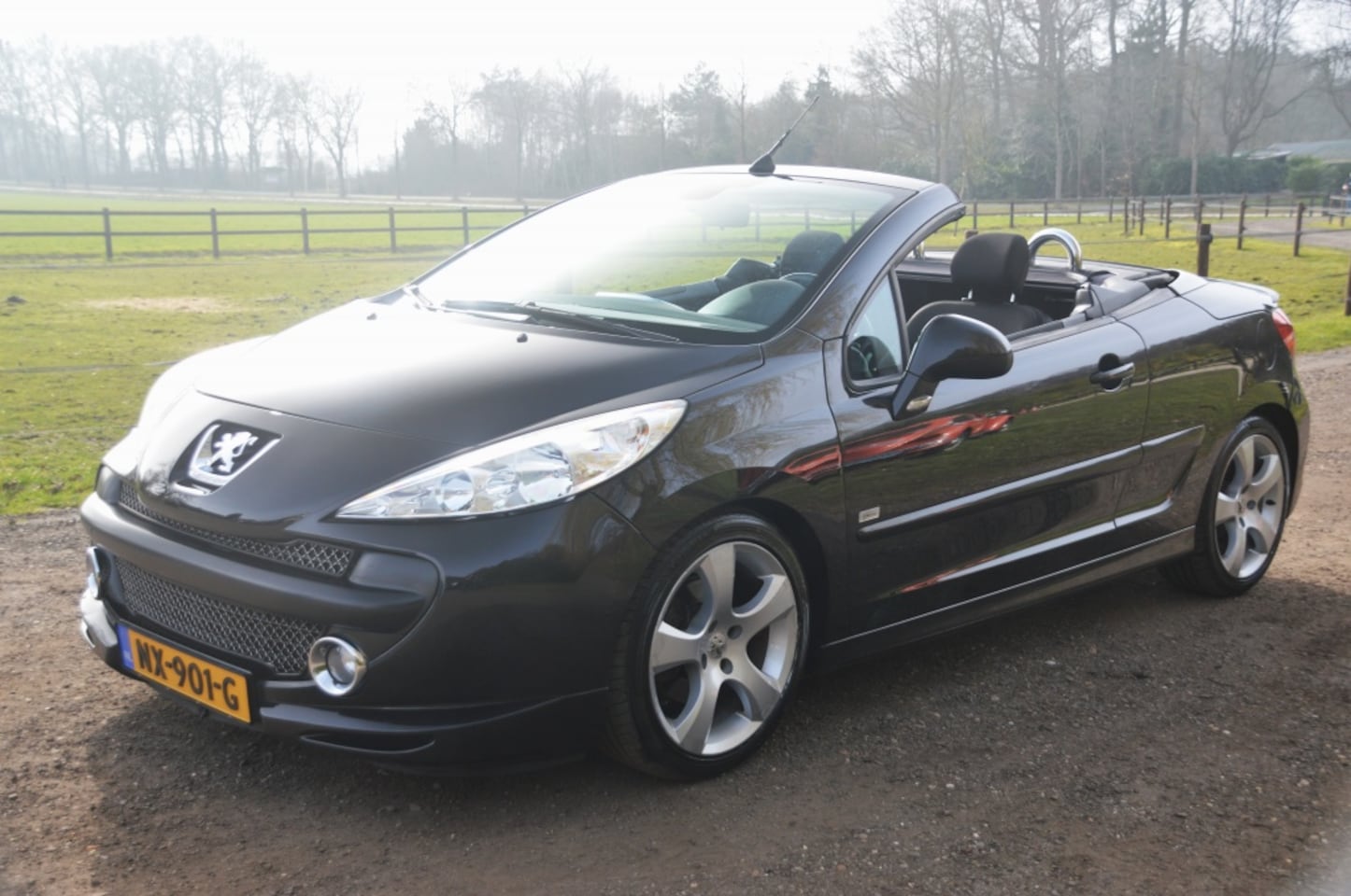 Peugeot 207 CC - 1.6 VTi Clima Cruise Sportief 126.000 km - AutoWereld.nl
