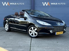 Peugeot 307 CC - 2.0-16V / CABRIO / APK 04-2027 / LEER