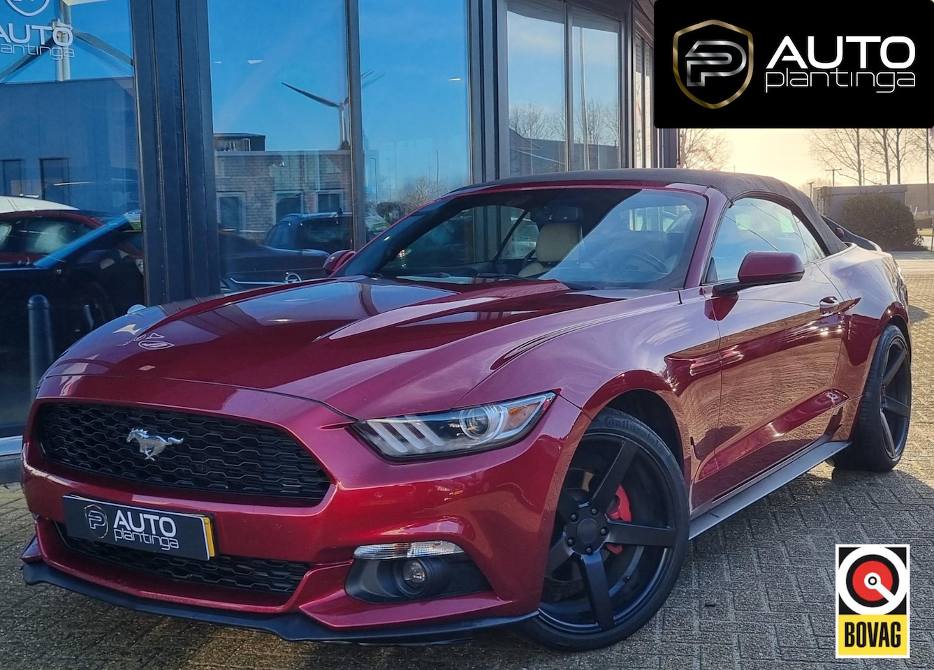 Ford Mustang Convertible - 2.3 EcoBoost 317PK | Grote Beurt gehad Dec 2025 | Achteruitrijcamera | Keyless Enrty | Cru - AutoWereld.nl