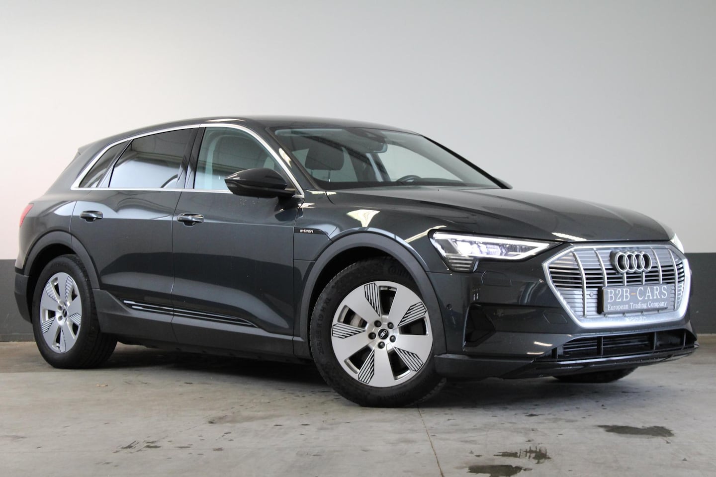Audi e-tron - 55 quattro edition 95 kWh SOH 90% - LED - Luchtvering - AutoWereld.nl