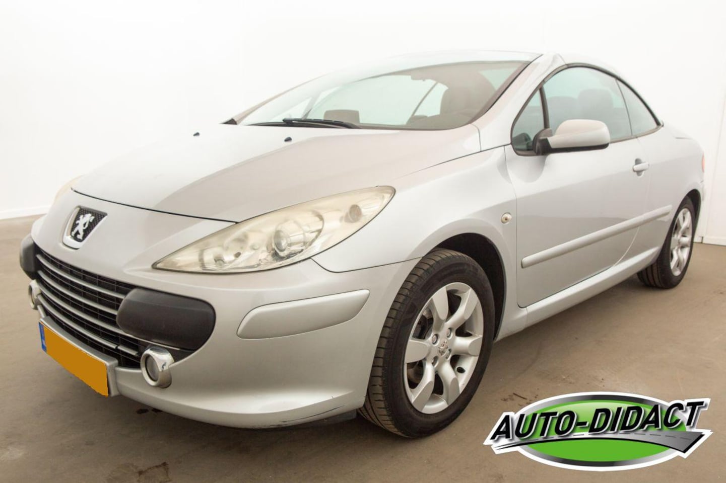 Peugeot 307 - 2.0-16V Clima Leder - AutoWereld.nl