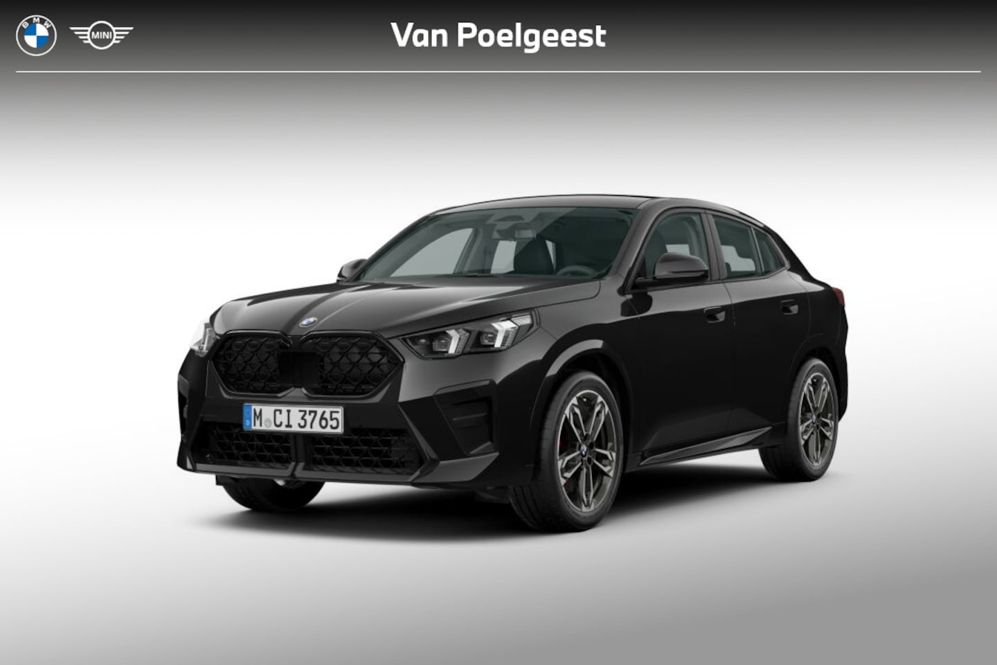 BMW X2 - sDrive20i | M Sportpakket Pro | Premium Pack | Trekhaak - AutoWereld.nl