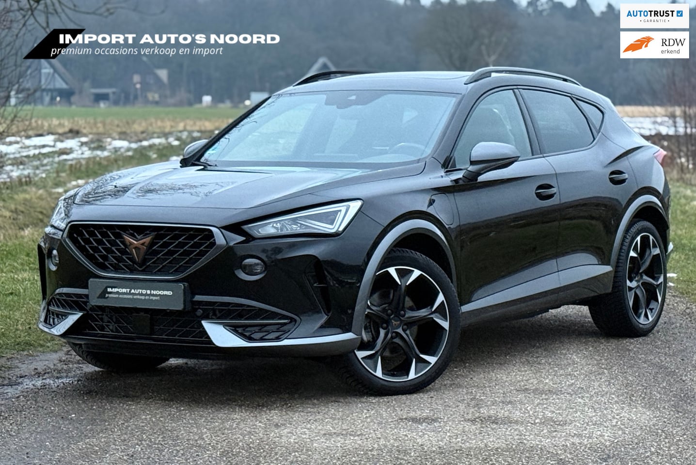 CUPRA Formentor - 1.4 e-Hybrid Pano Leer Memory Camera - AutoWereld.nl