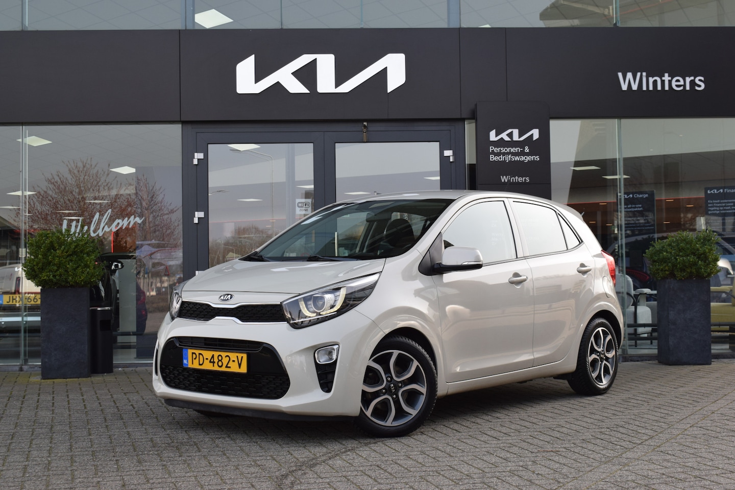 Kia Picanto - 1.0 CVVT First Edition | Navigatie | Camera | Cruise Control | Carplay | Android Auto | To - AutoWereld.nl