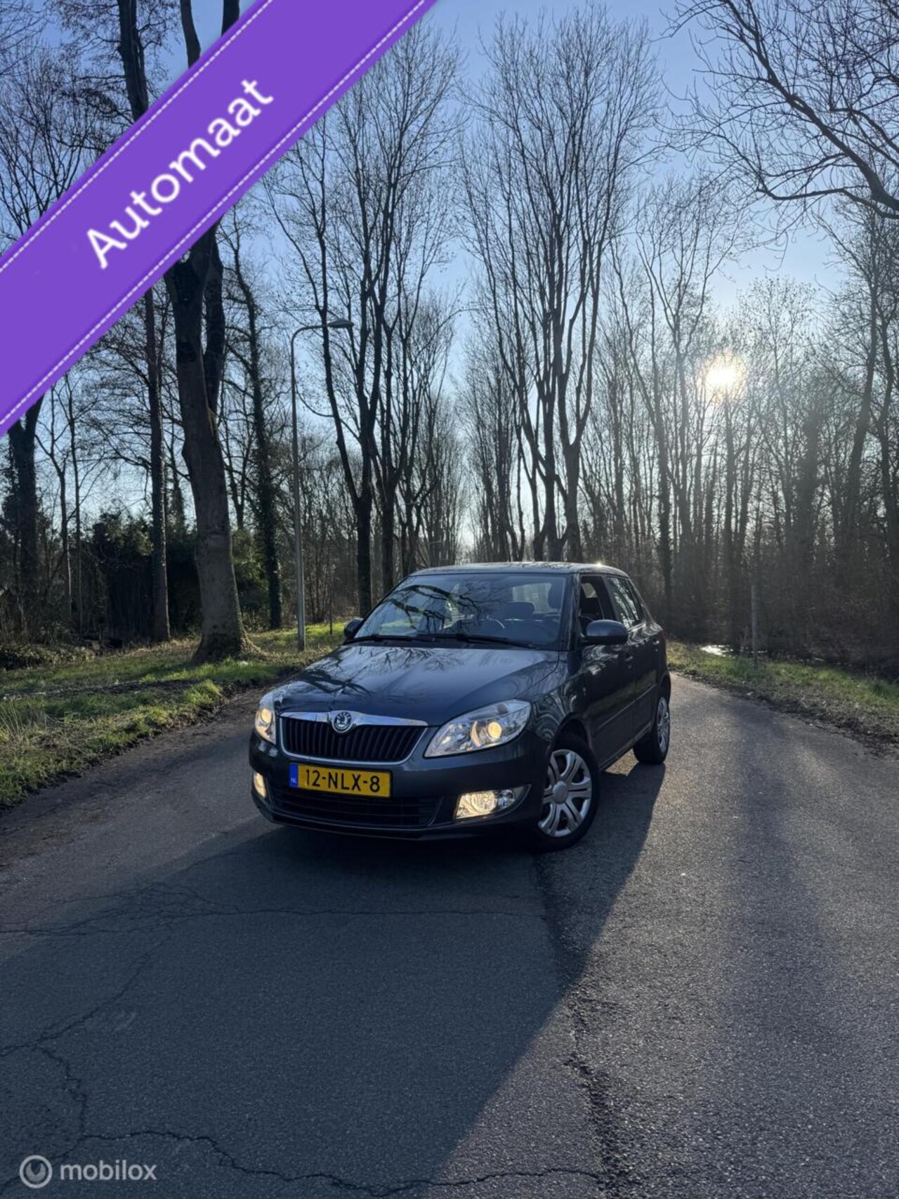 Skoda Fabia - 1.2 TSI DSG 105PK| Airco | Cruise Control - AutoWereld.nl