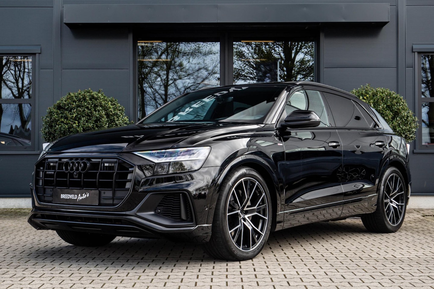 Audi Q8 - 50 TDI quattro Pro Line S 50 TDI quattro Pro Line S B&O, Panoramadak - AutoWereld.nl