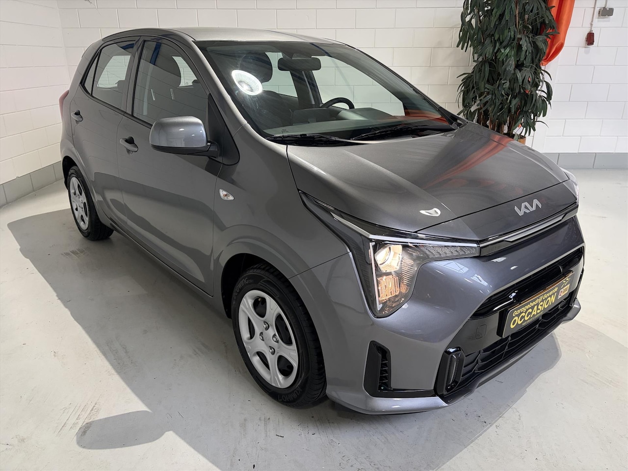 Kia Picanto - 1.0 DPi 67pk 4-zits Airco, Camera, Cruise, Carplay - AutoWereld.nl