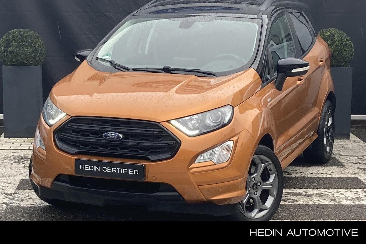 Ford EcoSport - 1.0 EcoBoost ST-Line | Winterpack | Camera - AutoWereld.nl