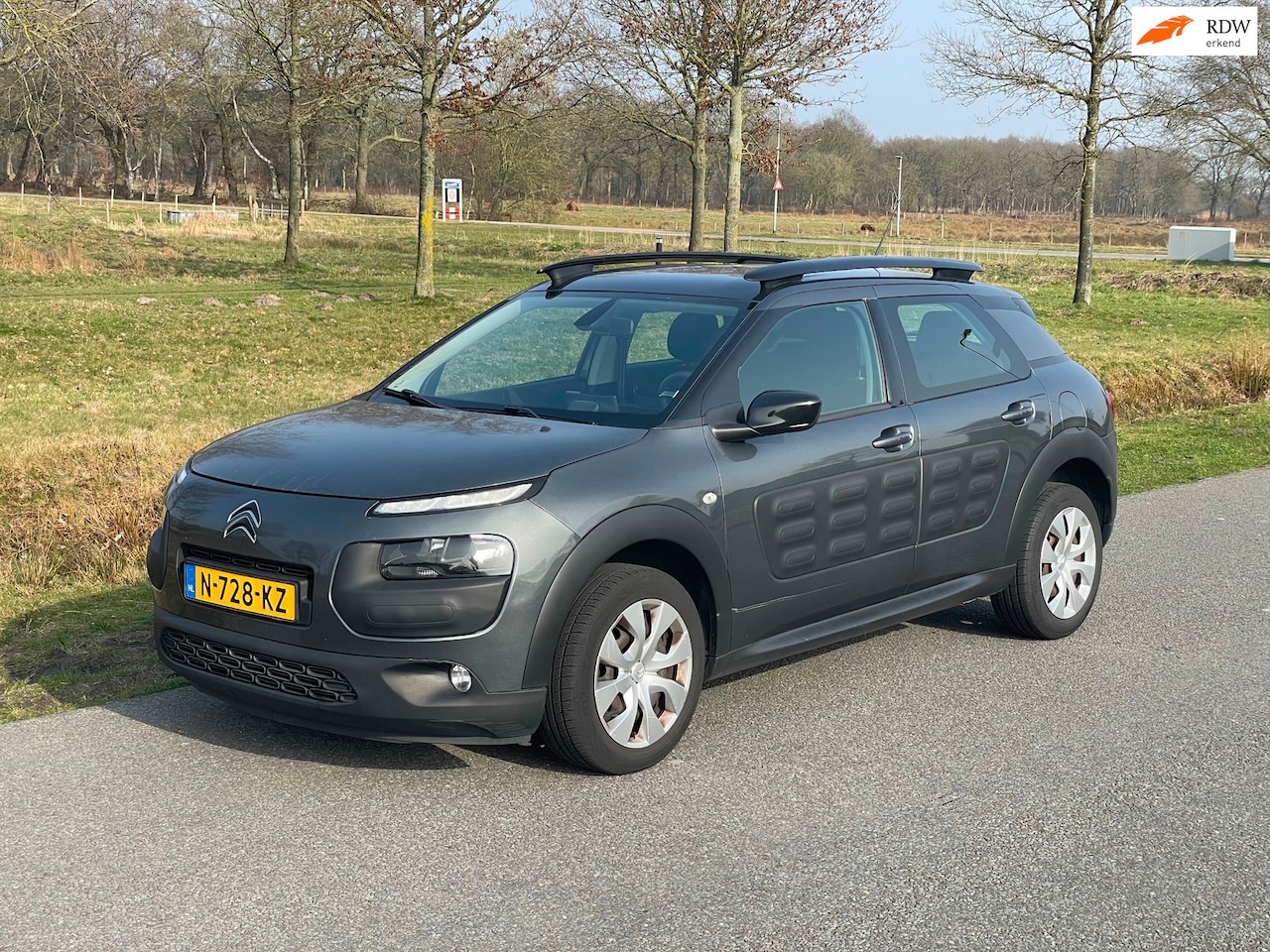 Citroën C4 Cactus - 1.2 PureTech CLIMA/CRUISE/CAMERA/Navi - AutoWereld.nl