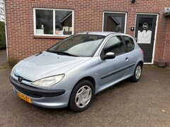 Peugeot 206 - APK 01-2027