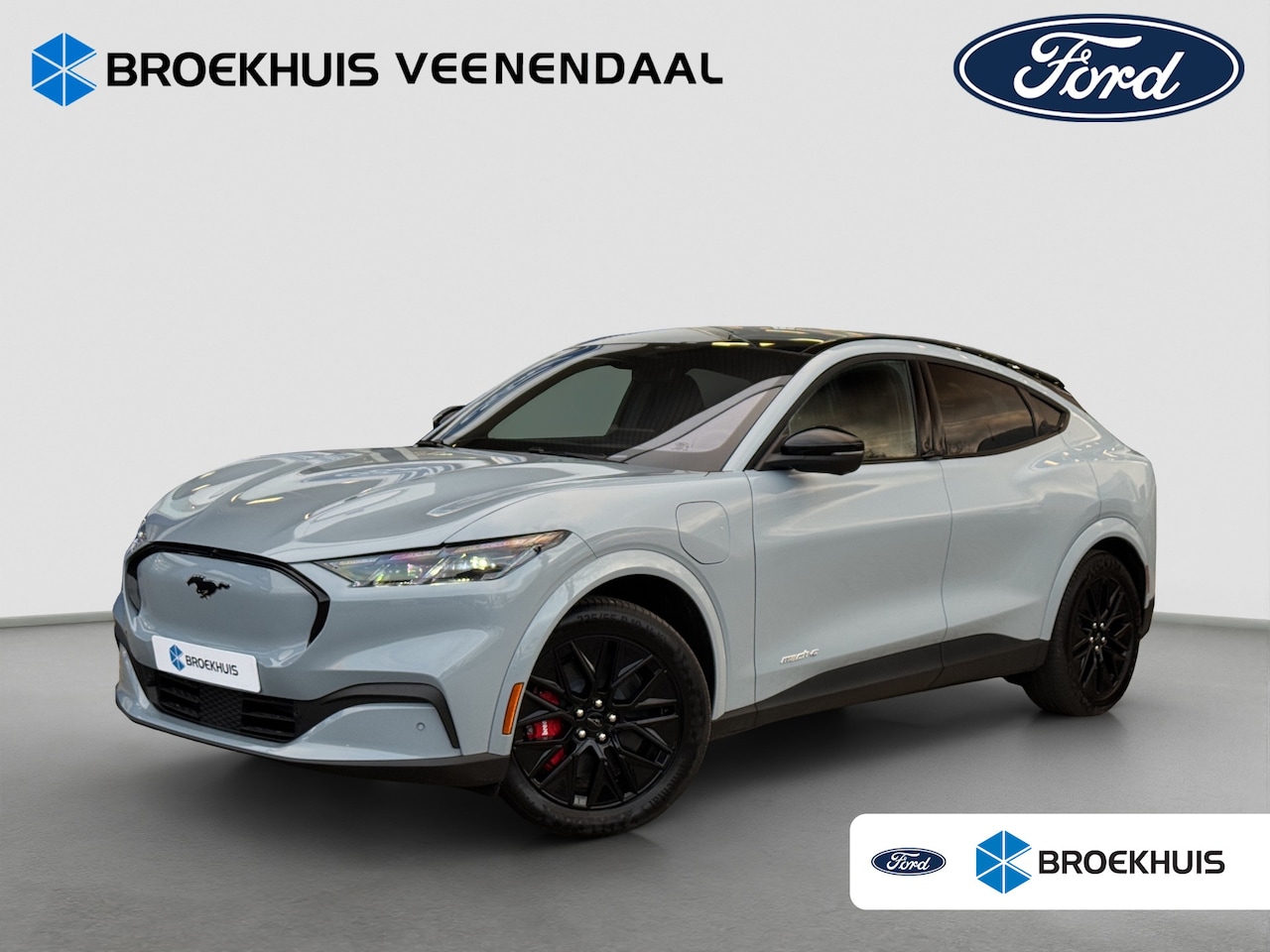 Ford Mustang Mach-E - Extended Premium RWD 88 kWh | Achteruitrijcamera | Apple Carplay/Android Auto|telefooninte - AutoWereld.nl