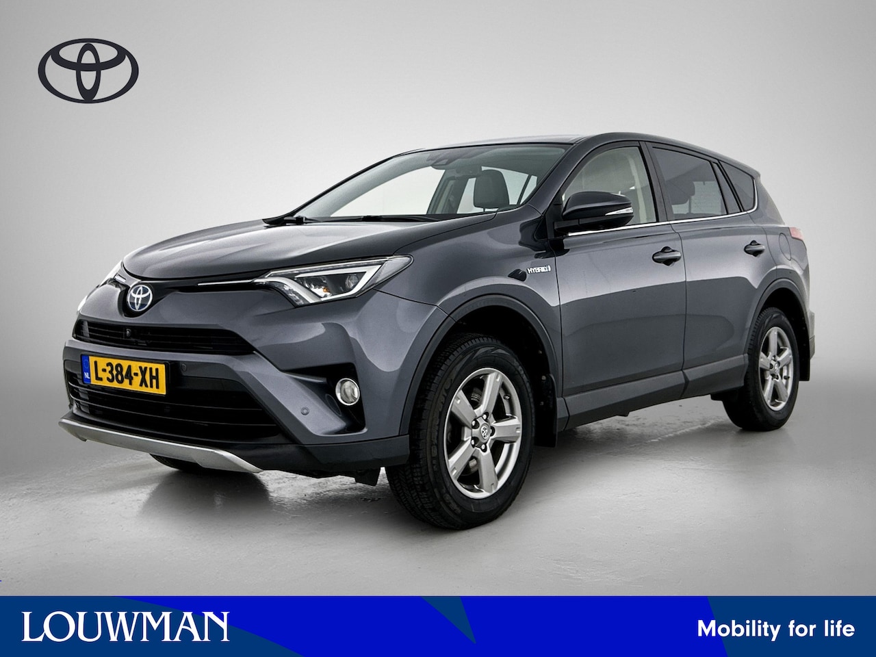 Toyota RAV4 - 2.5 Hybrid AWD Executive Business | Navigatie | Trekhaak | - AutoWereld.nl