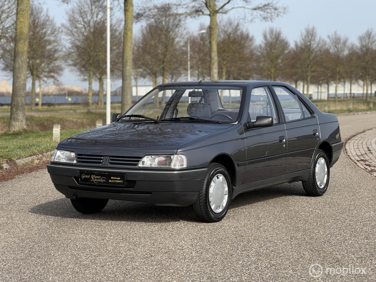 Peugeot 405 - 1.6 GL 1990 88.000 KM! - AutoWereld.nl