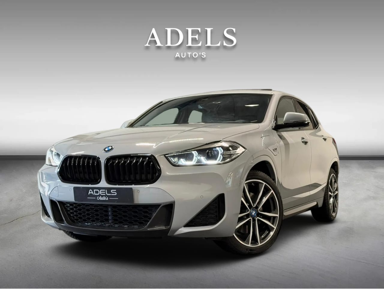 BMW X2 - xDrive25e High Executive M Sport Panodak Camera Keyless Brooklyngrau - AutoWereld.nl