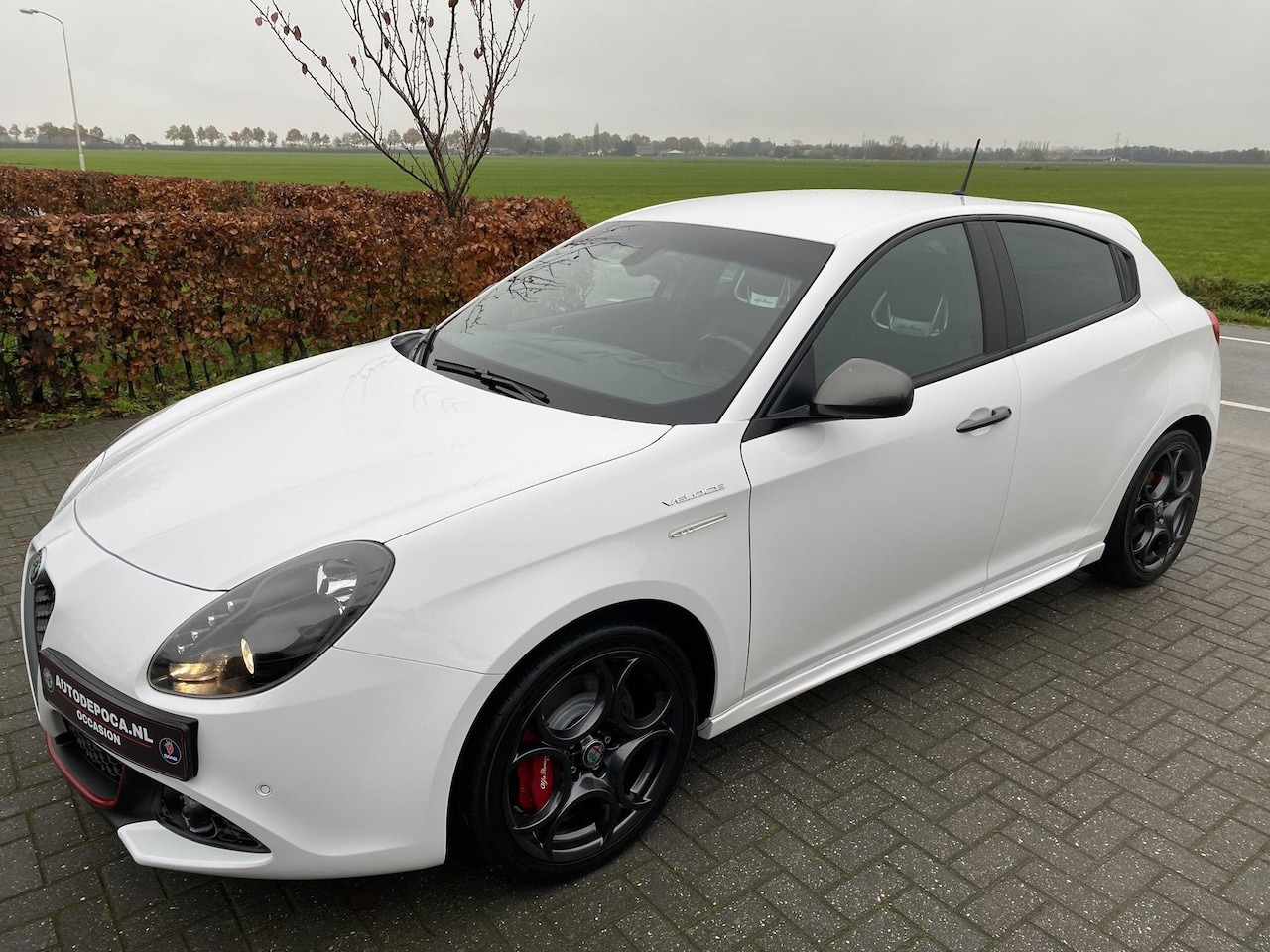 Alfa Romeo Giulietta - 1.750 Turbo Veloce 1.750 Turbo Veloce - AutoWereld.nl